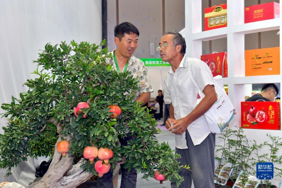 全民夺宝捕鱼